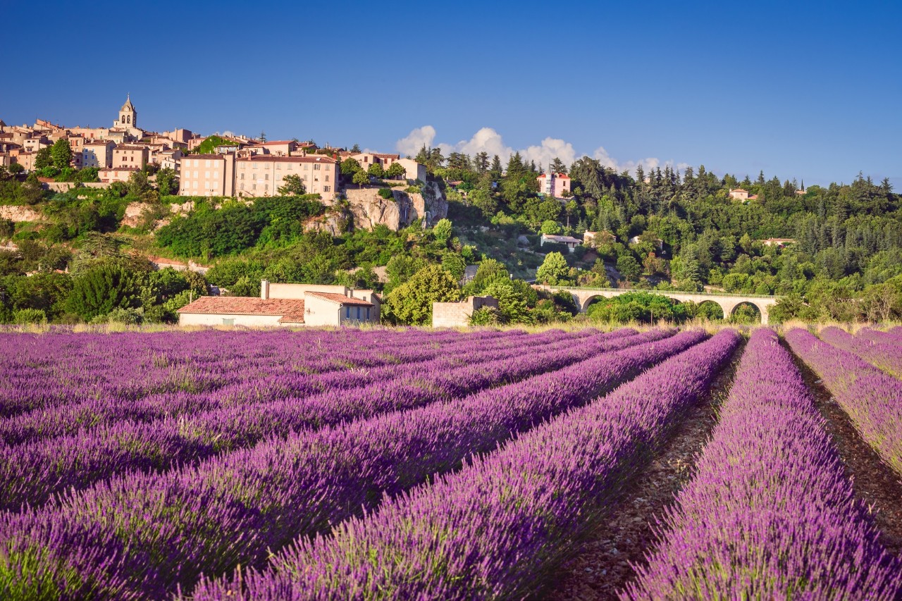 Sault, hilltop village in Provence with lavender fields, Vaucluse in France.