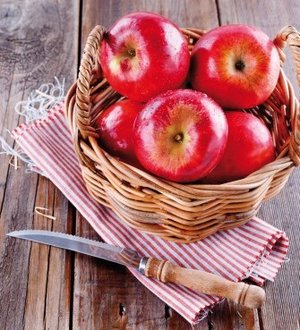 Fotolia_63832523_335_3f7a35c28a