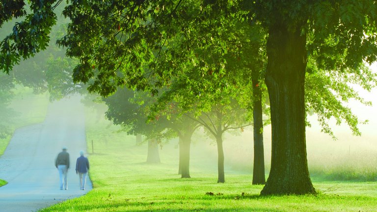  Políticas FME España