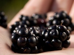 De ce am eu nevoie de mai multe vitamine?