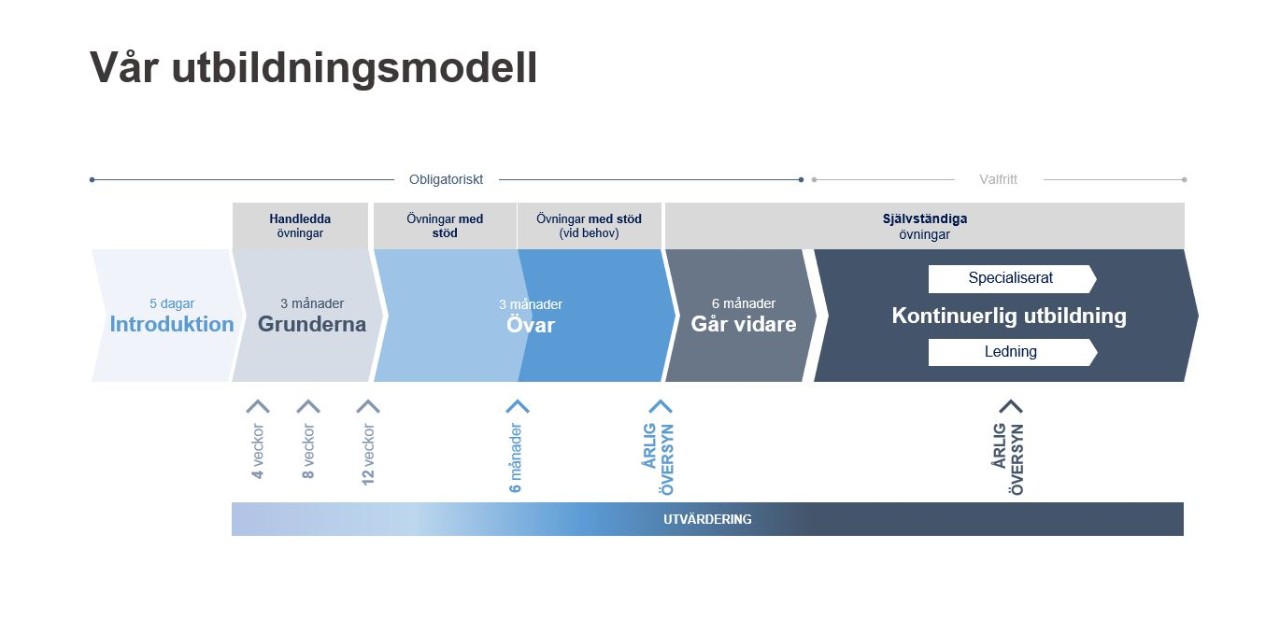 Academy pathway for Nurses